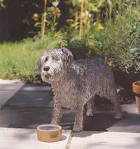1994 Hond